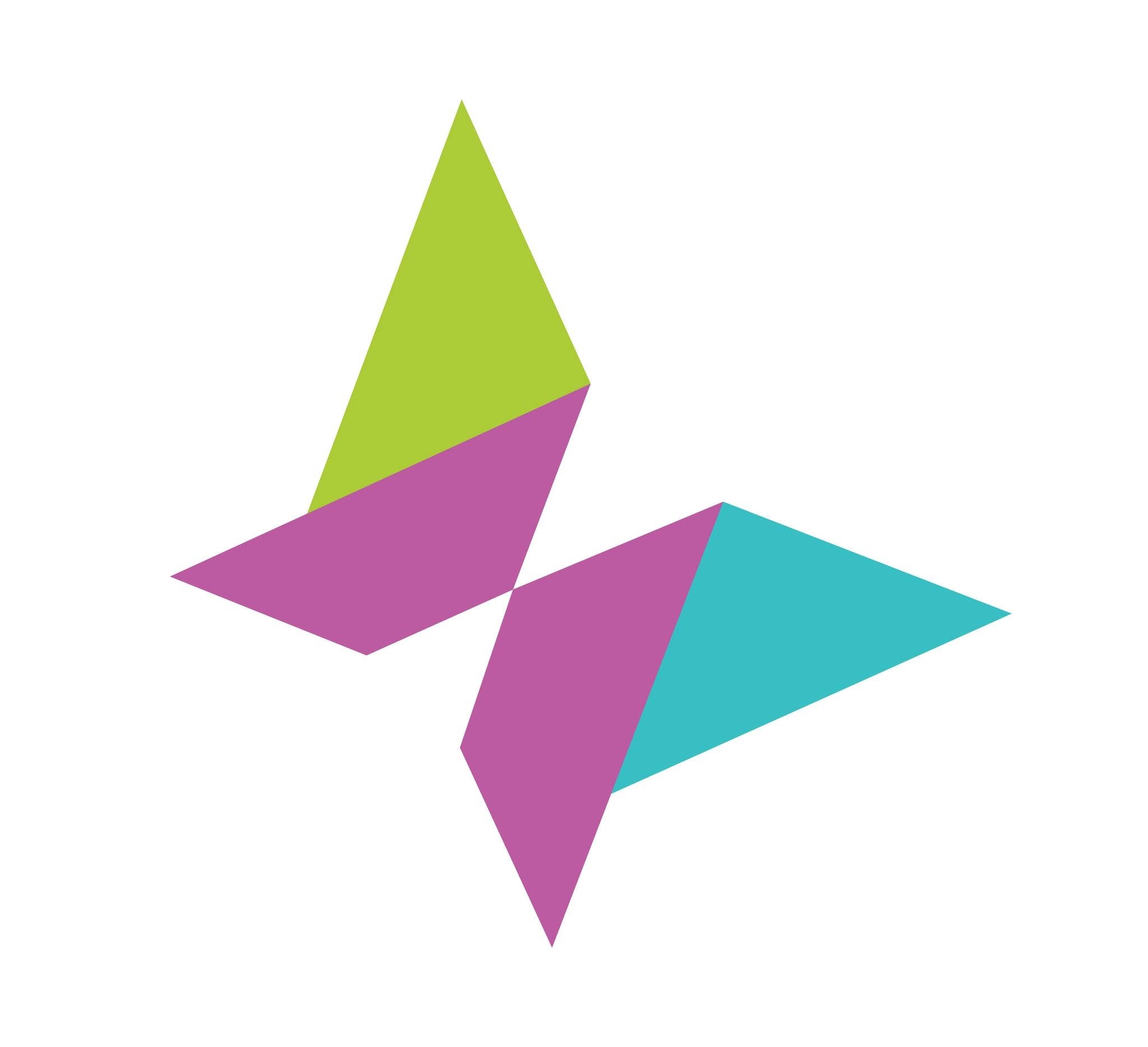 LUMS Slingshot Accelerator logo